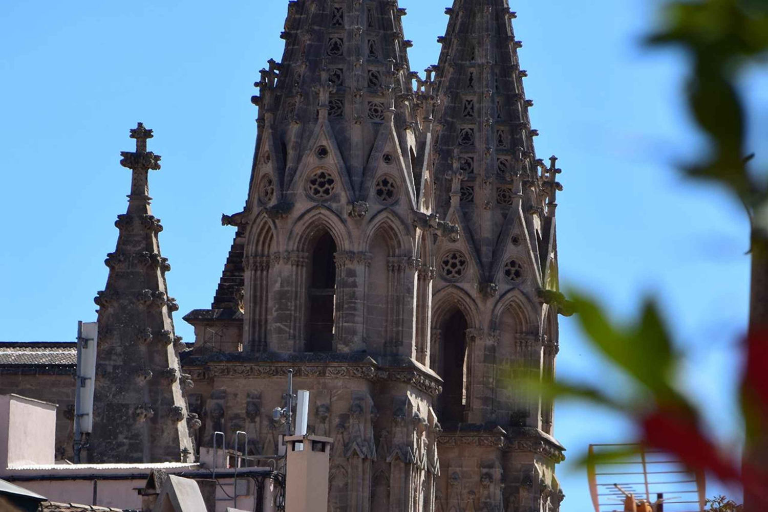パルマの屋上で楽しむパエリアとワインの夕食会