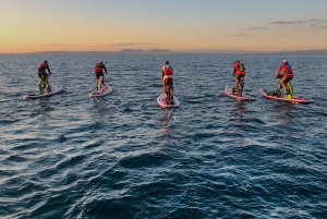 Eksklusiv tur på sup-brett i Cala Ferrera