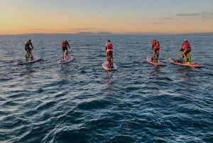 Escursione in sup esclusiva a Cala Ferrera