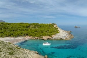 Utflukt på båt på ettermiddagen med drikke og snacks
