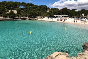 Experiencia en Mondrago /S'amarador / Trencada Snorkel y SUP