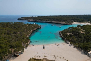 Experiencia en Mondrago /S'amarador / Trencada Snorkel y SUP