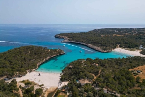 Experiencia en Mondrago /S'amarador / Trencada Snorkel y SUP