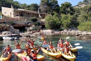 Mallorca: Explore the Island Dragonera with the kayak