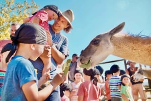Mallorca: Family Pirate Tour with Rancho Grande Animal Park