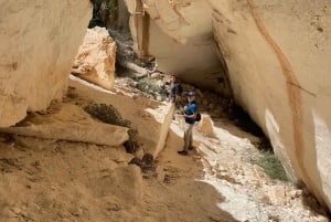 Felanitx: The Hidden Side of Mallorca Walking Tour