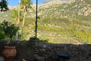 Flow & Frequency Fornalutxissa: jooga / pilates tai äänikylpy