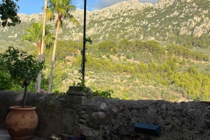 Flow & Frequency i Fornalutx: Yoga / Pilates eller lydbad