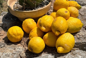 Fornalutx – vandring i den vackraste dalen på Mallorca