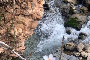 Fornalutx – wędrówka po najpiękniejszej dolinie Majorki