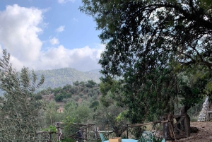 Fornalutx – wędrówka po najpiękniejszej dolinie Majorki