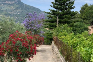 Fornalutx – wędrówka po najpiękniejszej dolinie Majorki