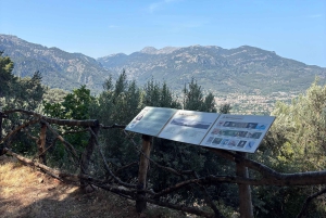 Fornalutx – wędrówka po najpiękniejszej dolinie Majorki