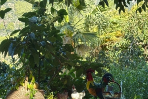 Fornalutx – wędrówka po najpiękniejszej dolinie Majorki