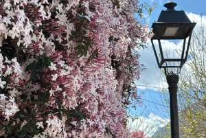 Fornalutx – wędrówka po najpiękniejszej dolinie Majorki