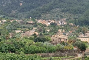 Fornalutx town and hiking to the mountains olive farm