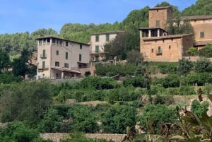 Fornalutx town and hiking to the mountains olive farm