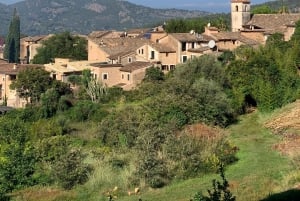 Fornalutx town and hiking to the mountains olive farm