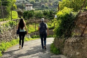 Fornalutx town and hiking to the mountains olive farm