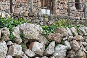 Fornalutx town and hiking to the mountains olive farm