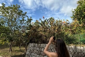 Fornalutx town and hiking to the mountains olive farm