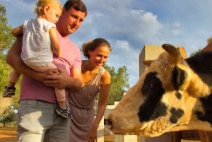 Fresopolis: Mallorca Family Farm Experience