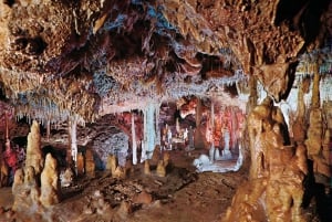 From Alcúdia: Dinosaurland and Hams' Caves Half-Day Trip