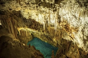 From Alcúdia: Dinosaurland and Hams' Caves Half-Day Trip