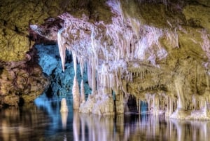 Da Alcúdia: Escursione di mezza giornata nel Dinosaurland e nelle Grotte di Hams