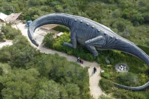 Da Alcúdia: Escursione di mezza giornata nel Dinosaurland e nelle Grotte di Hams