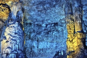 Da Alcúdia: Escursione di mezza giornata nel Dinosaurland e nelle Grotte di Hams