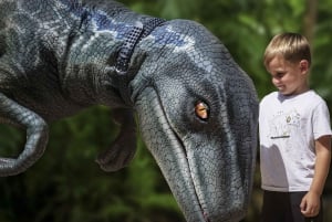 Da Alcúdia: Escursione di mezza giornata nel Dinosaurland e nelle Grotte di Hams