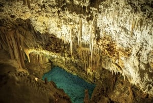 Da Alcúdia: Escursione di mezza giornata nel Dinosaurland e nelle Grotte di Hams