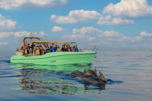 Från Alcudia: Båttur med delfinskådning i soluppgången