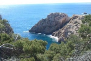 Cala Millor/Sa Coma: Mallorcan puolen päivän buggiajelu Mallorcalla