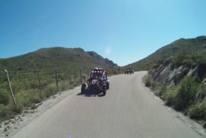 From Cala Millor: Half-Day Buggy Tour of Mallorca