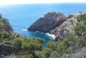 From Cala Millor: Half-Day Buggy Tour of Mallorca
