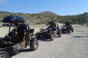 From Cala Millor: Half-Day Buggy Tour of Mallorca