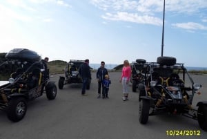 From Cala Millor: Half-Day Buggy Tour of Mallorca