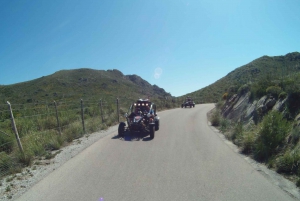 From Cala Millor: Half-Day Buggy Tour of Mallorca