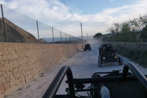 From Can Pastilla: Palma and Llucmajor Buggy Tour