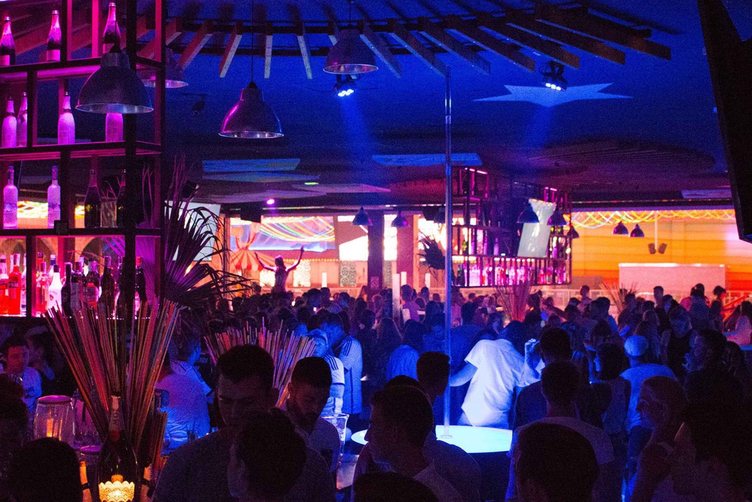 Desde Can Picafort: tour nocturno en bus por Ballermann