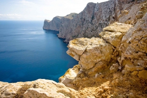 From Can Picafort: Customizable Private Boat Day Trip