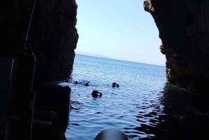 Vanuit Can Picafort: Dolfijnen kijken en Grotboottocht