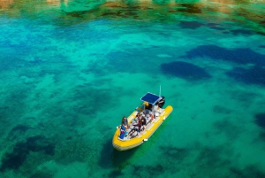 Vanuit Can Picafort: Dolfijnen kijken en Grotboottocht
