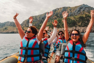 From Can Picafort: Dolphin Watching and Cave Boat Trip