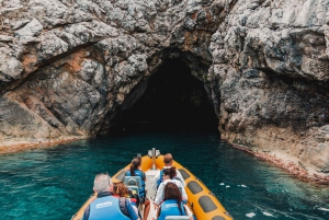 From Can Picafort: Dolphin Watching and Cave Boat Trip