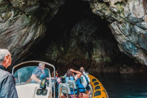 From Can Picafort: Dolphin Watching and Cave Boat Trip