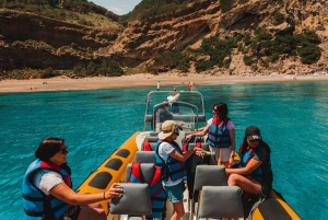 From Can Picafort: Dolphin Watching and Cave Boat Trip