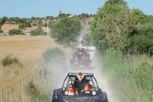 Do leste de Mallorca: Passeio guiado de buggy pela praia e pela montanha
